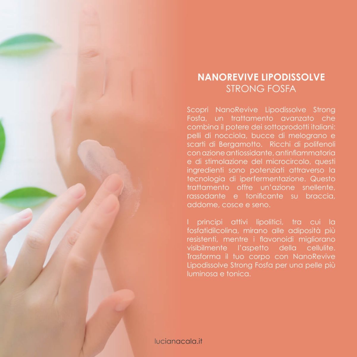 NanoRevive brochure_page-0012